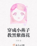穿成小燕子教黑紫薇花