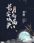 长安城头月向西
