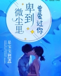 曾爱过你,卑到微尘里