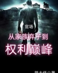 官场:从家族弃子到权利巅峰