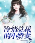 冷情总裁的小娇妻