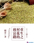 重生之村花的致富路