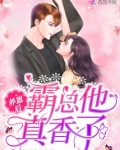 养崽后霸总他真香了
