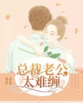 总裁老公太难缠