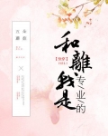 和离我是专业的