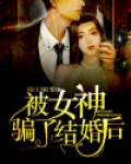 被女神骗了结婚后