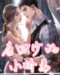 唐四少的小娇妻 木青云