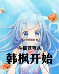 斗破苍穹从韩枫开始