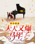 墨少宠妻,夫人又爆马甲了