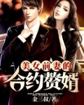 美女前妻的合约赘婿