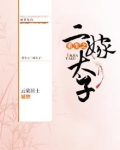 重生之二嫁太子