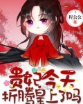 贵妃今天折腾皇上了吗