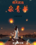 倚天武当宋青书