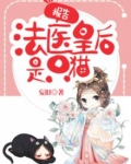 报告,法医皇后是只猫