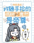 神医毒妃:我随手捡的病秧子竟然是帝尊