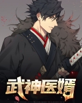 武神医婿