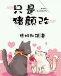 只是猪颜改