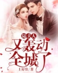 陆夫人又轰动全城了