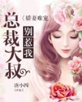 娇妻难宠:总裁大叔,别惹我