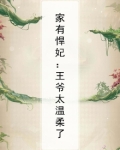 家有悍妃:王爷太温柔了