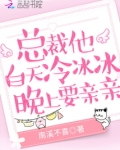 总裁他白天冷冰冰,晚上要亲亲