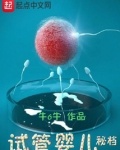 试管婴儿秘档