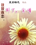 往昔夜恋:别了,余情
