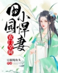 农门空间:田园小悍妻
