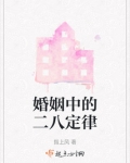 婚姻中的二八定律