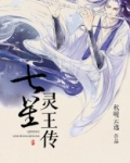 七星灵王传