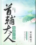 首辅大人宠妻日常