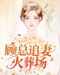 天降六宝:顾总追妻火葬场