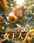 我?红龙女王!