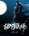 纨绔医婿