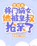 退婚夜!将门嫡女她被皇叔抢亲了