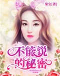 不能说的秘密