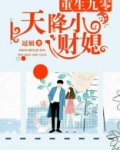 重生九零:天降小财媳