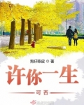 许你一生可否