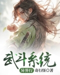 武斗系统异界行