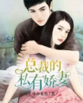 总裁的私有娇妻