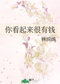 你看起来很有钱小说