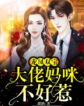 龙凤双宝:大佬妈咪不好惹