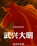 武兴大明