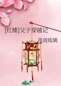 一家子穿越红楼推荐