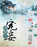 清朝之宠妾