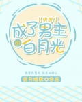 成了男主的白月光