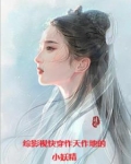 综影视从三生三世开始