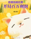 直播地摊捡漏,开局百万利润