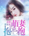 新婚甜蜜蜜：萌妻，抱一抱
