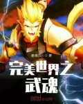 完美世界之武魂